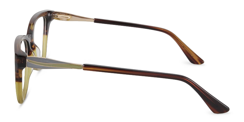 Picture of Focus Glasses