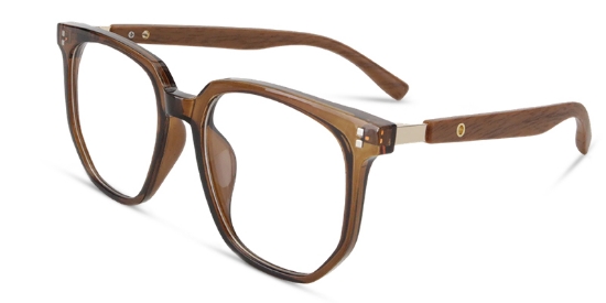 Corin Glasses Brown