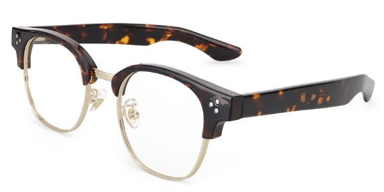 Dylen Glasses Tortoise