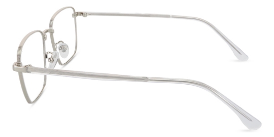 Lorin Glasses Silver