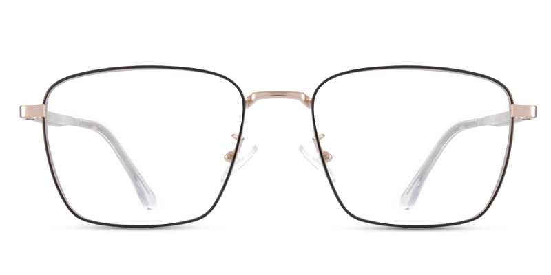 Lorin Glasses Black