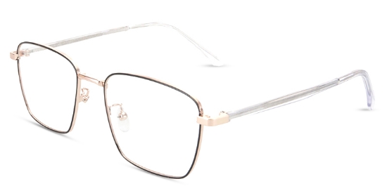 Lorin Glasses Black