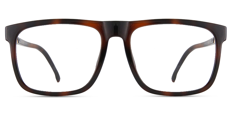 Laren Glasses Tortoise
