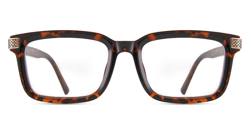 Parin Glasses Tortoise