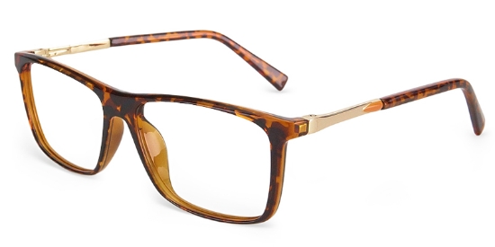 Uren Glasses Tortoise