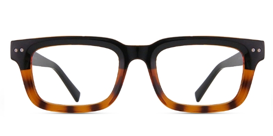 Black_Tortoise