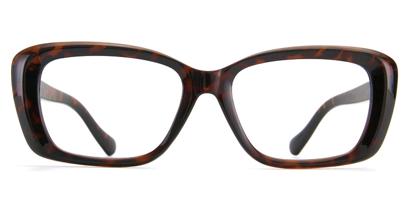 Daren Glasses Tortoise