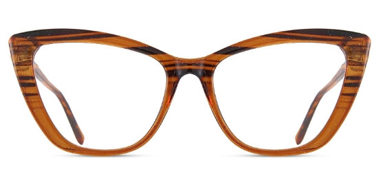 Tortoise_Orange