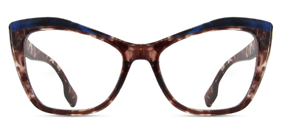 Tortoise_Brown