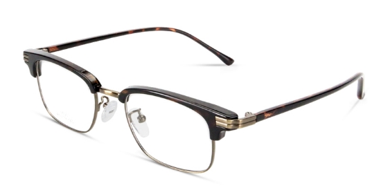 Pylen Glasses Tortoise