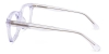Picture of Naren Glasses