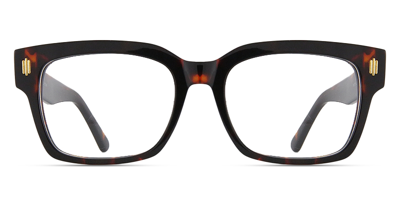 Pren Glasses Tortoise
