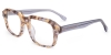 Picture of Qaren Glasses