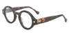 Picture of Rowan Glasses