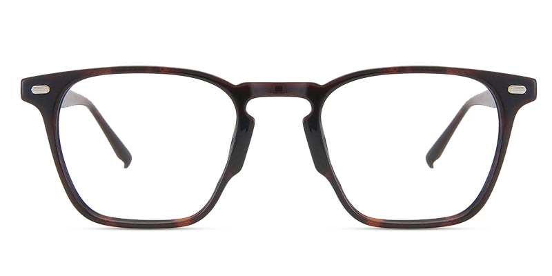 Jasper Glasses Tortoise