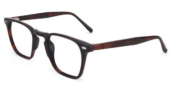 Jasper Glasses Tortoise