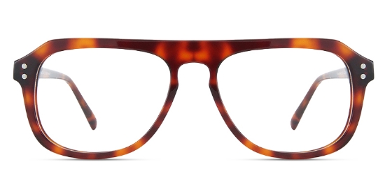 Tortoise_Red