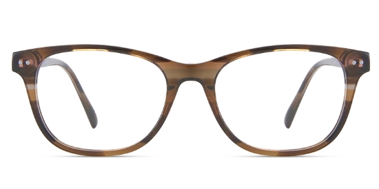 Tortoise_Brown