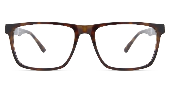 Tortoise_Brown