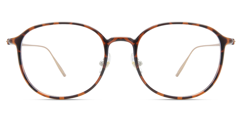 Glacier Glasses Tortoise