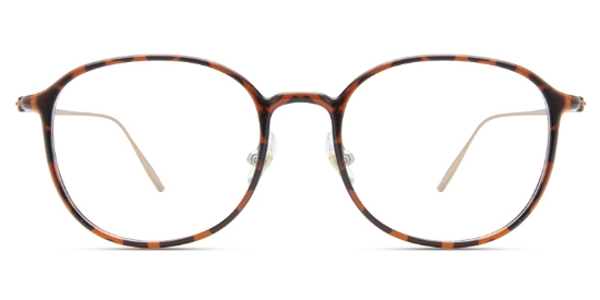 Glacier Glasses Tortoise