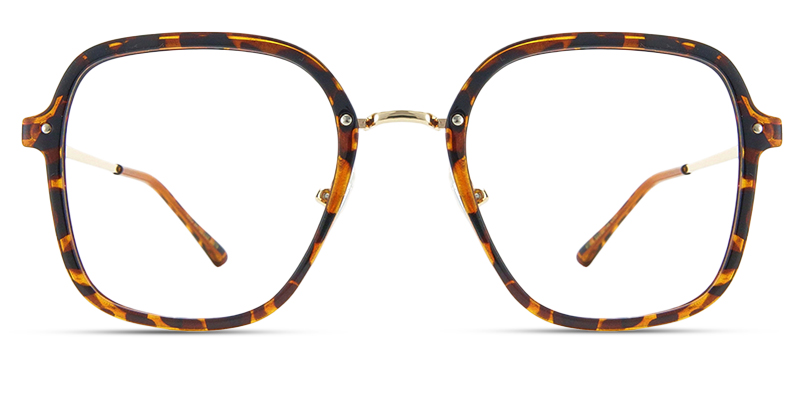 Vista Glasses Tortoise