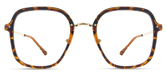 Vista Glasses Tortoise