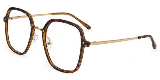 Vista Glasses Tortoise