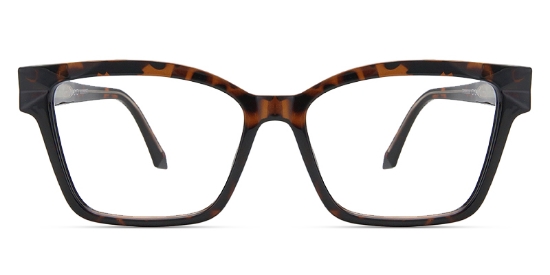 Aero Glasses Tortoise