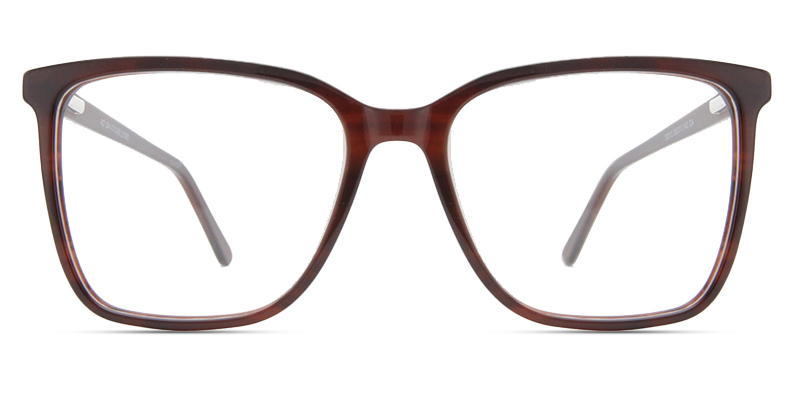 Coast Glasses Brown