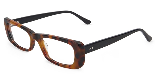 Aspen Glasses Tortoise