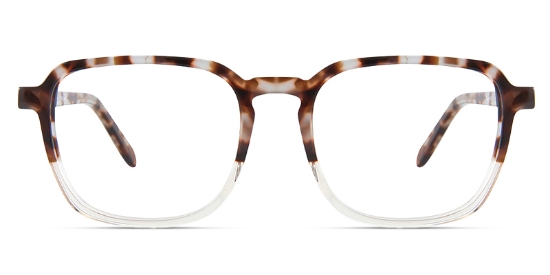 Tortoise_Transparent