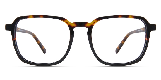 Tortoise_Black