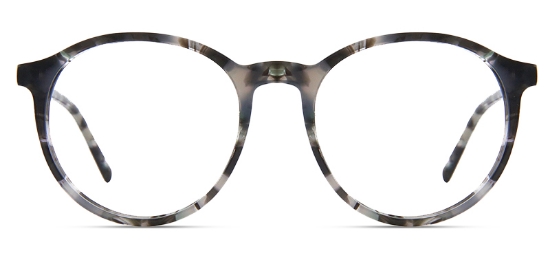 Tortoise_White