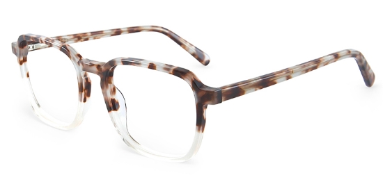 Amelis Glasses Tortoise_Transparent