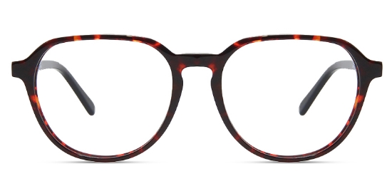 Tortoise_Black