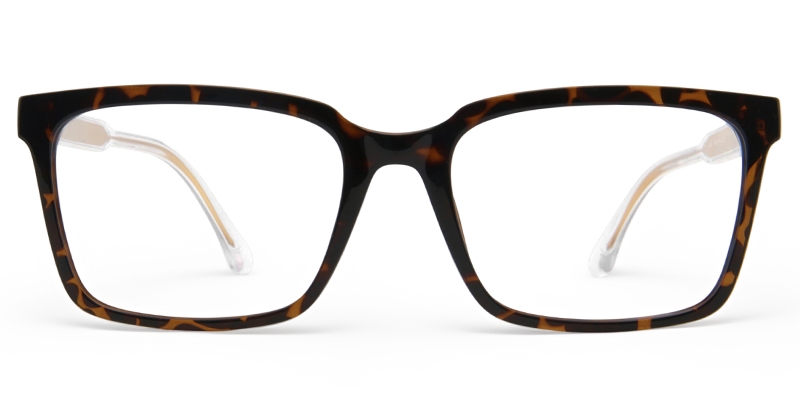 Picture of Jalori Glasses