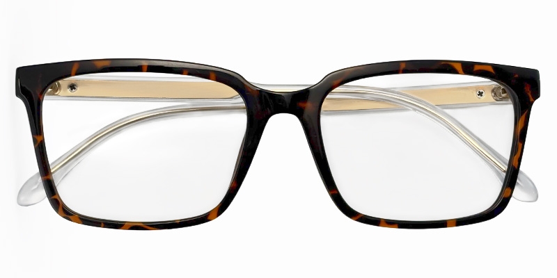 Picture of Jalori Glasses