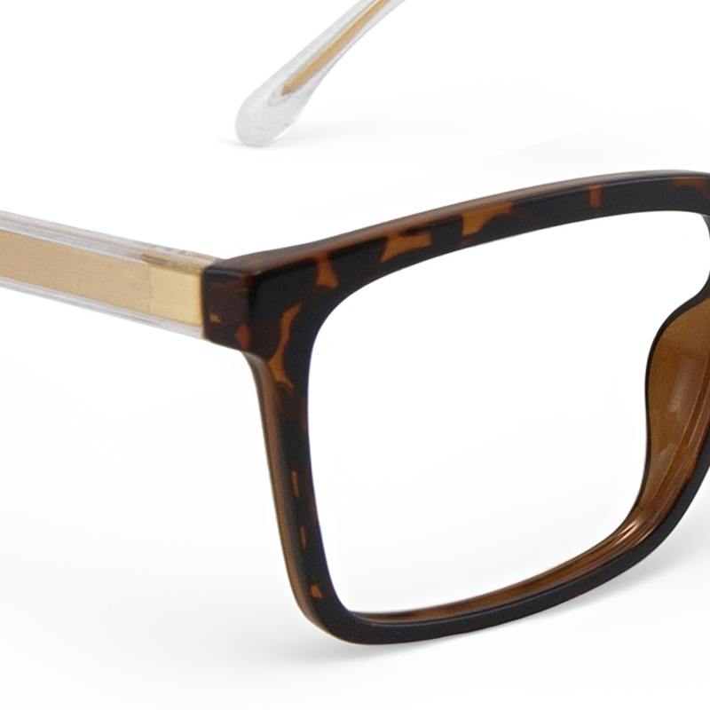 Picture of Jalori Glasses