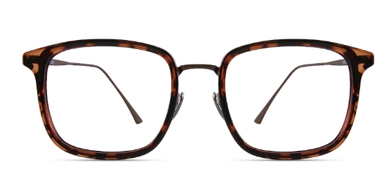 Nivela Glasses Tortoise