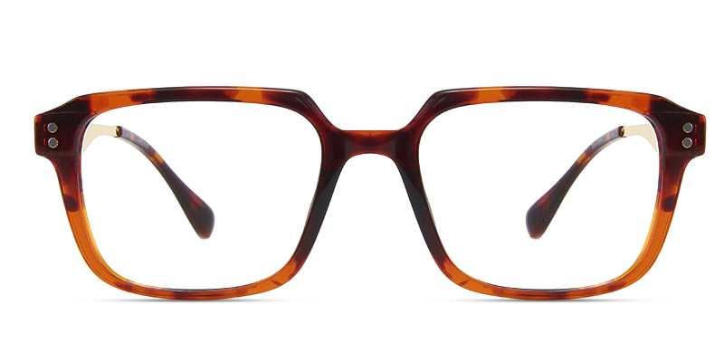 Evella Glasses Tortoise