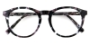 Picture of Auvora Glasses