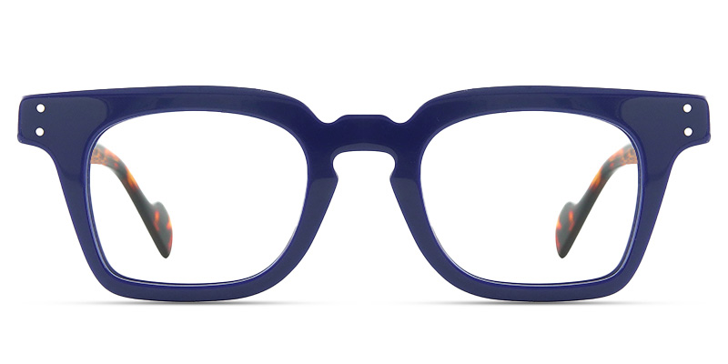 Frelia Glasses Blue_Tortoise