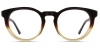 Picture of Ivelis Glasses