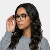 Picture of Coast Glasses