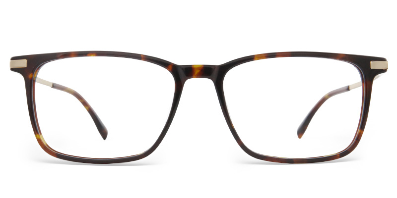 Dareva Glasses Tortoise_Gold