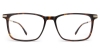 Picture of Dareva Glasses