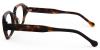 Picture of Glenia Glasses