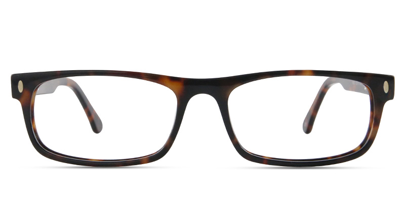 Kireva Glasses Tortoise
