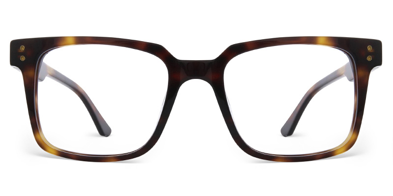 Navela Glasses Tortoise